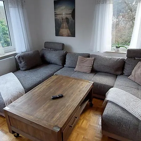 Mauersegler * Hemfurth-Edersee