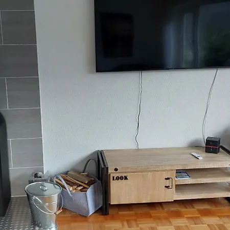 Mauersegler Hemfurth-Edersee