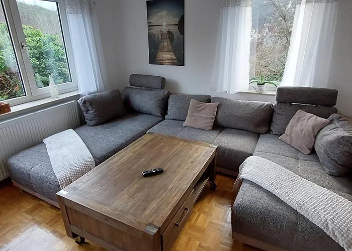 Mauersegler * Hemfurth-Edersee