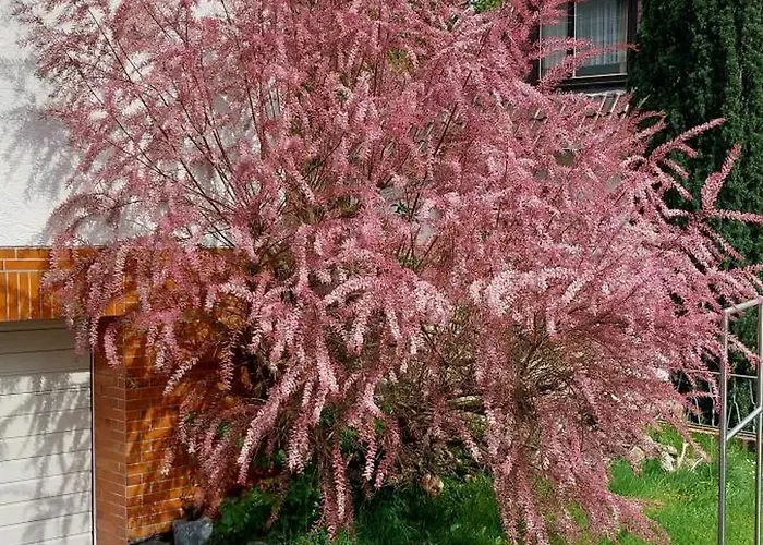 Сasa de vacaciones Mauersegler Hemfurth-Edersee